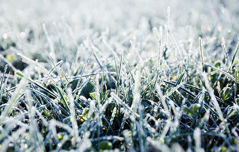 Winter Lawn Damage Protecting Your Lawn From Extreme Winter Weather